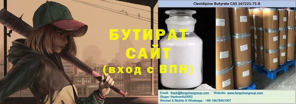 твердый Новозыбков