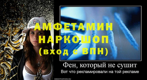 твердый Новозыбков