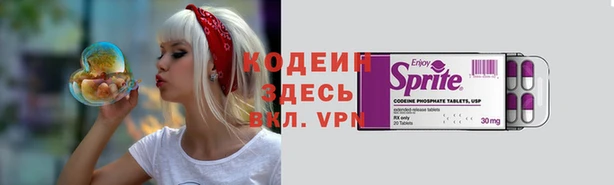 твердый Новозыбков