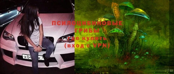 твердый Новозыбков