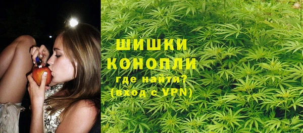 твердый Новозыбков