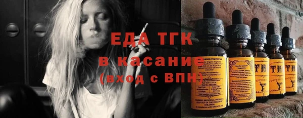 твердый Новозыбков