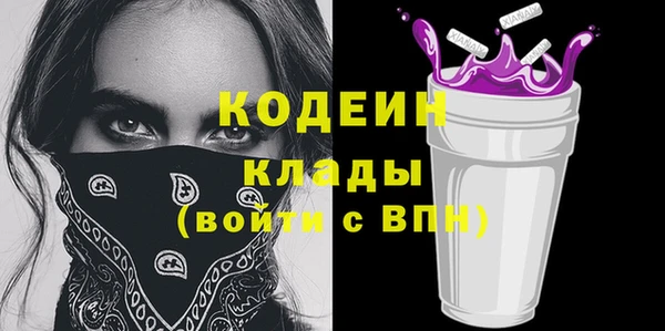 твердый Новозыбков