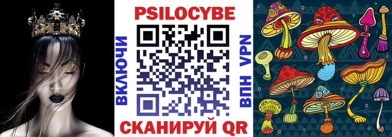 Псилоцибиновые грибы Psilocybine cubensis  Купить  Дегтярск 